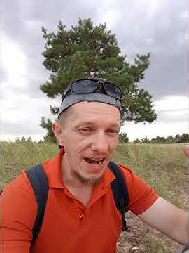 OFFLINE БЛАЖЕНСТВО или ДЕШЕВЫЙ ДОФАМИН ИЗ СЕТИ? #дофамин #гормоны - YouTube