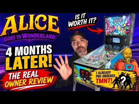 Alice Goes to Wonderland Pinball: 4 Months Later! Problems, Fixes, Mods & Is It Worth It?