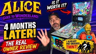 Alice Goes to Wonderland Pinball: 4 Months Later! Problems, Fixes, Mods & Is It Worth It? screenshot 3