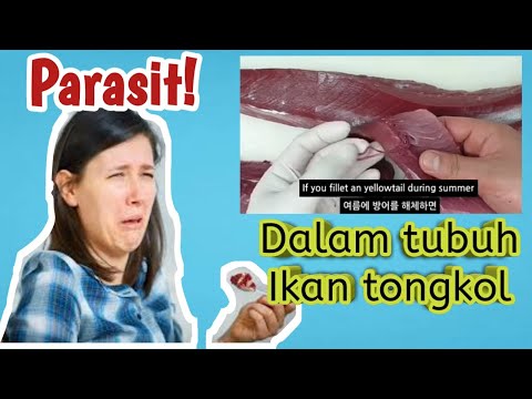 Ngeri.binatang yang hidup dalam tubuh ikan