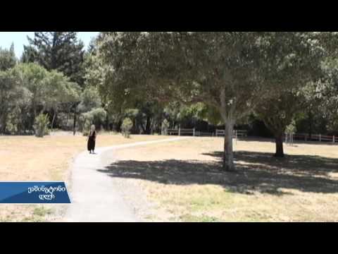 სტრესის დაძლევის მარტივი მეთოდი