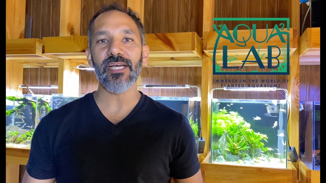 to Aqua² Lab Gurgaon by Varun Shah, India's First Aquatic
