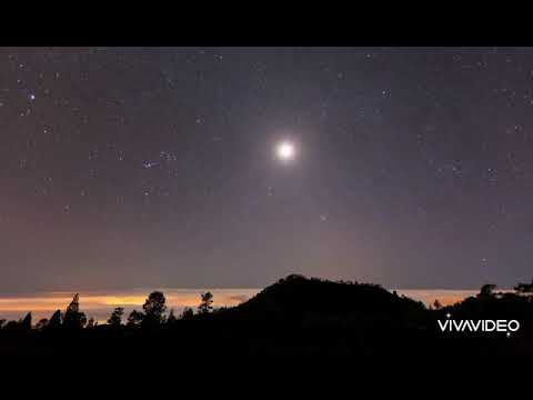 ضعفي مين يحس بيه