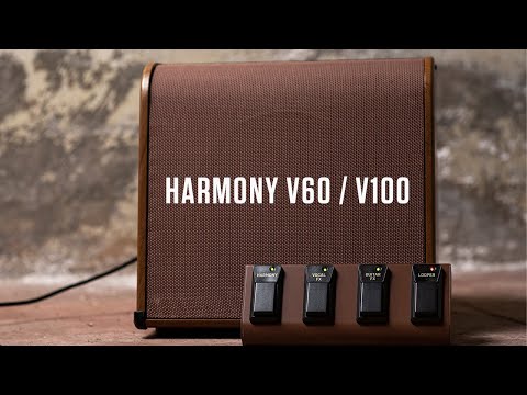 Harmony V60/V100 Amps