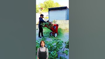 Tree branch shredder can be customized #fcnfm #shorts #shredder #wood