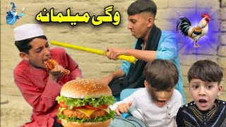 Wagi Melmana Pashto New Funny Video 2025 Taza Vines