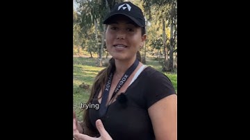 COMMON MISTAKES THAT LEAD TO E COLLAR DEPENDENCY IN DOGS #ecollartraining #ecollars