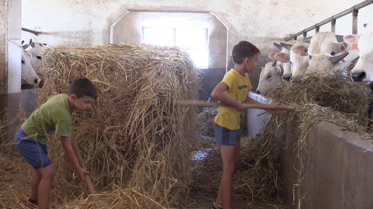Carni delle mucche marchigiane, San Giorgio La Molara modello da imitare