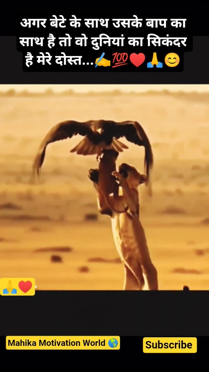 ❤️Love You ज़िंदगी ❤️ - ShareChat