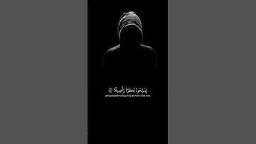 صلي على النبي 🤍🤲 قران كريم 🤍 وانشر هذا الفيديو كل صحابك 🤍