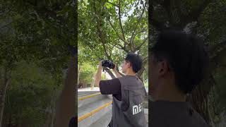 Real-World Test Meike 85Mm F1.4 Vs Meike 85Mm F1.8 Pro Lens