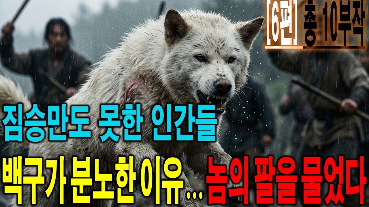 형사 '개' 백구 6화 |🚨 비 오는 날 피투성이가 되어 돌아온 백구, 녀석이 나를 끌고 간 곳은...