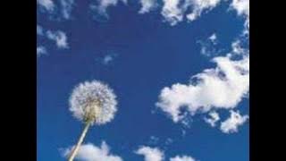 ANJO AZUL - MARQUINHOS MOURA