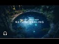 Relax Nature Healing Sounds / Meditate in a  Magic Forest and Water Calming Sounds