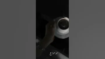 حل الليل وسكنت الاصوات ستوريات انستا Shorts 