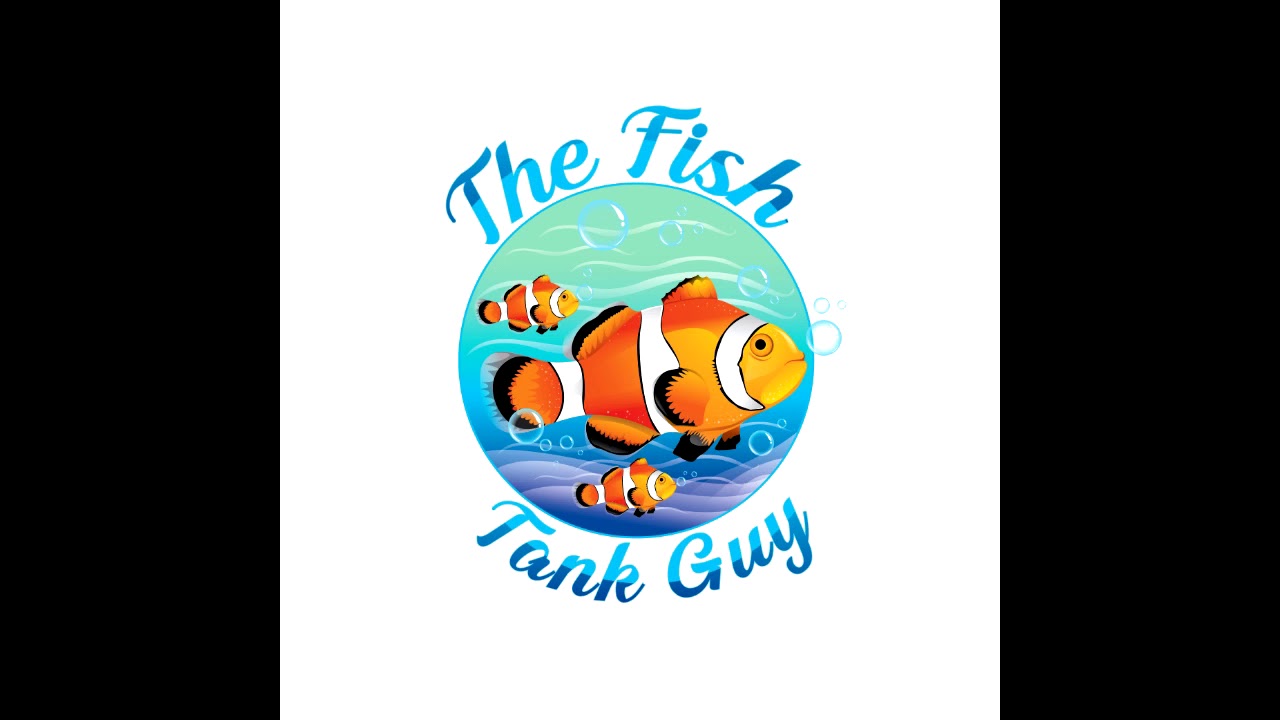 The Fish Tank Guy Podcast Episode 18 (10/25/20) YouTube