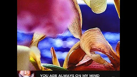 Youre always on my mind