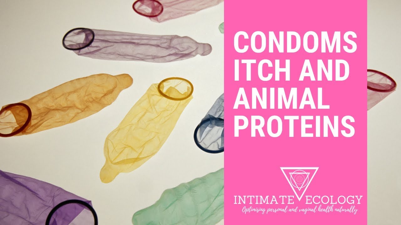 Do Condoms Cause You Vaginal Irritation? It Could Be An Animal Protein