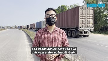 Cận cảnh hơn 1.000 container nông sản mắc kẹt ở Cửa khẩu Móng Cái