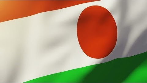 4K Niger flag waving in the wind. Looping sun rises style. Animation loop Stock video