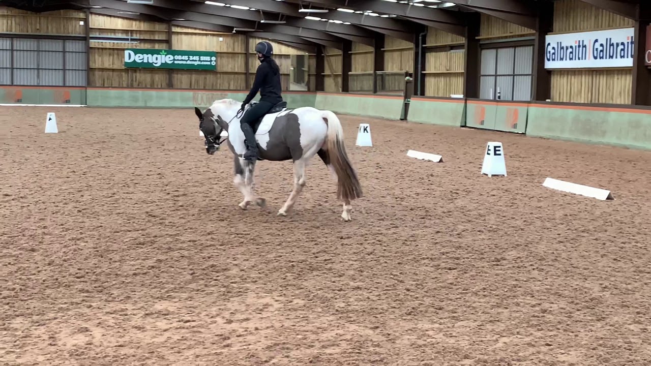Prelim 13 dressage test YouTube Prelim 13 dressage test YouTube