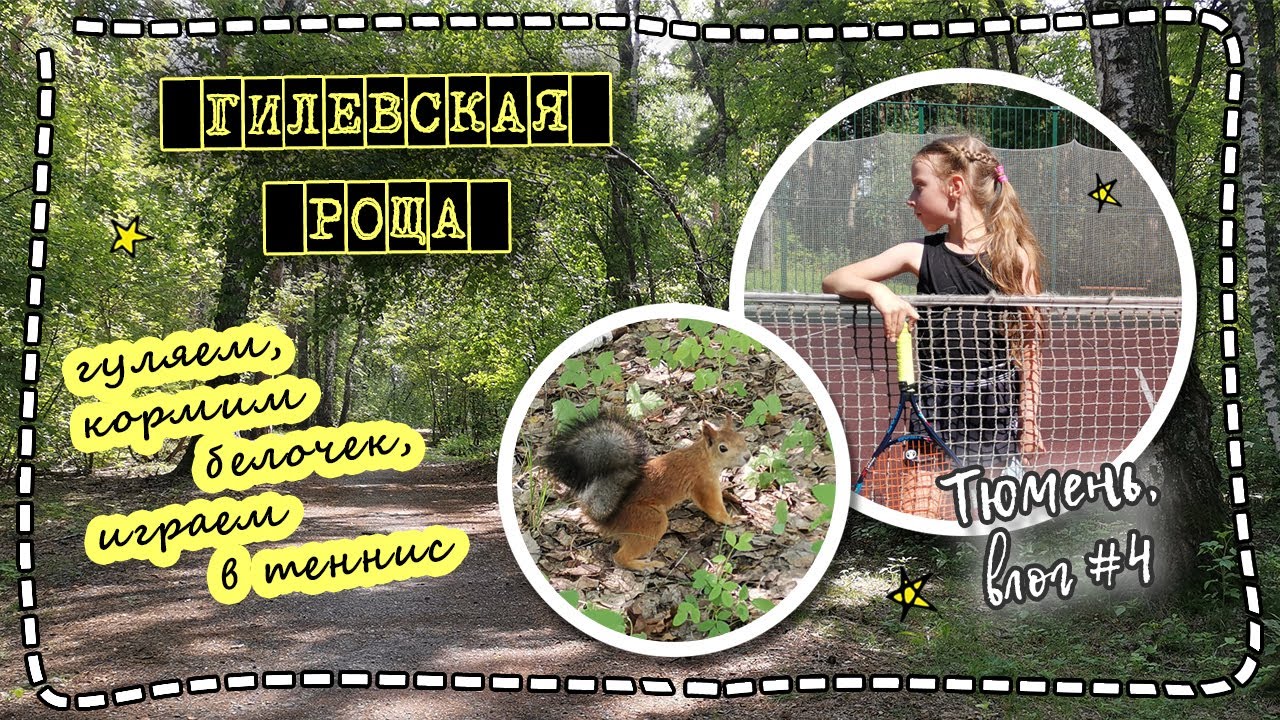 Гилевская роща. Тюмень. Кормим белок, играем в теннис. - YouTube