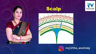 Scalp | Layers of Scalp | Innervation of Scalp | Blood Supply | Lymphatic Drainage | Clinical Aspect