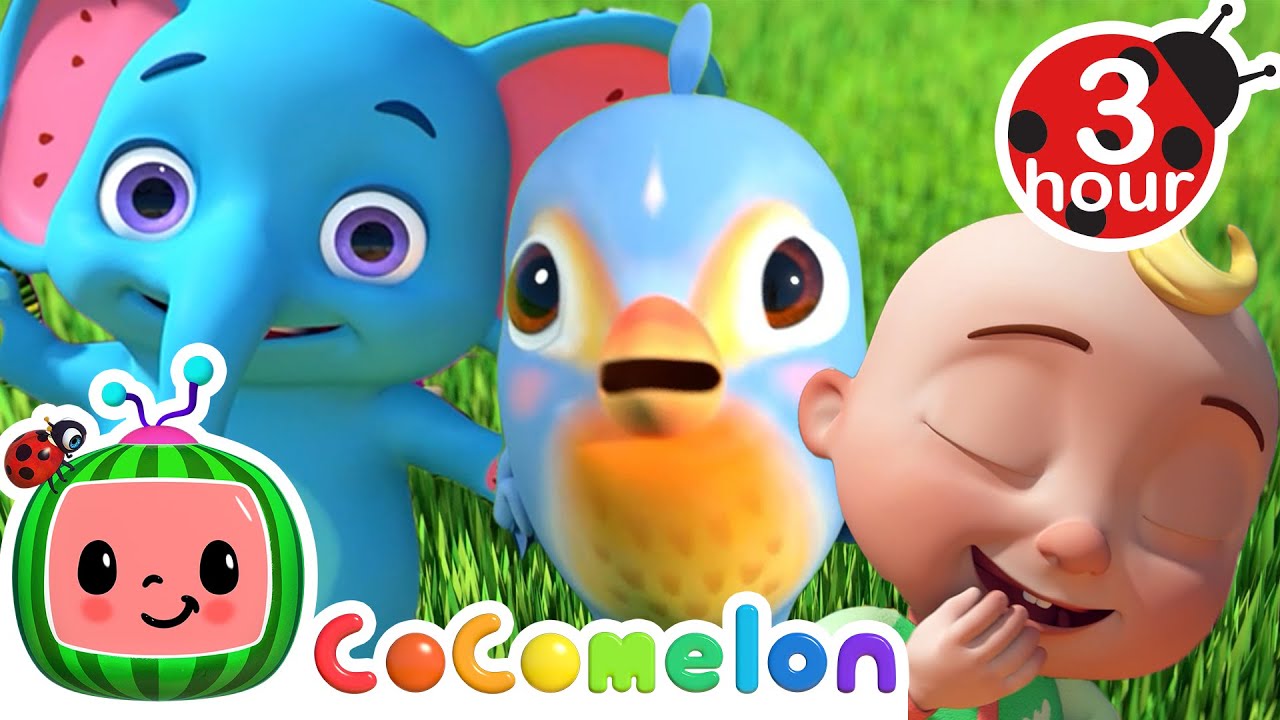 Itsy Bitsy Spider (Birdie) +| More Cocomelon - Nursery Rhymes | Fun Cartoons For Kids | Moonbug Kids