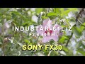 Grading INDUSTAR 61 LZ 50mm F2,8 + Sony FX30. Kyiv