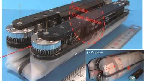Robot With Torus Omnidirectional Driving Unit