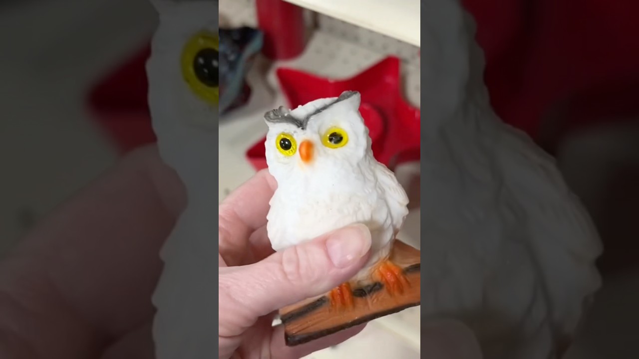 У меня было всего несколько минут в магазине Goodwill! 