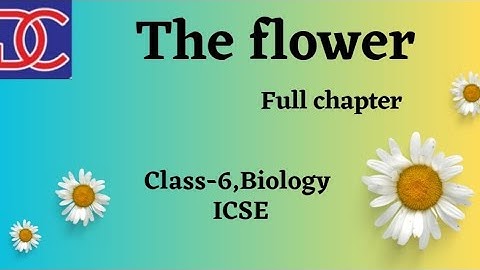 Class-6, , Biology, ICSE, The Flower full chapter