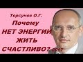 Торсунов О.Г. Почему нет сил и энергии жить счастливо? Учимся жить.