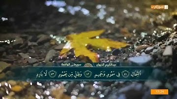 سورة الواقعة بصوت المقرئ عبد الكريم الديوان