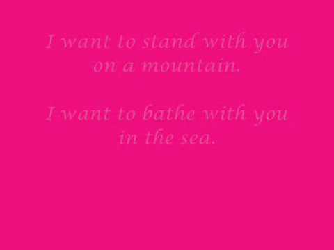 Savage Garden - I want to stand with you on a mountain + Lyrics (Truly Madly Deeply)