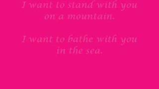 Savage Garden - I want to stand with you on a mountain   Lyrics (Truly Madly Deeply)