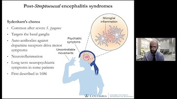 How Peripheral Infection Triggers Brain Inflammation: The Scientific Breakdown