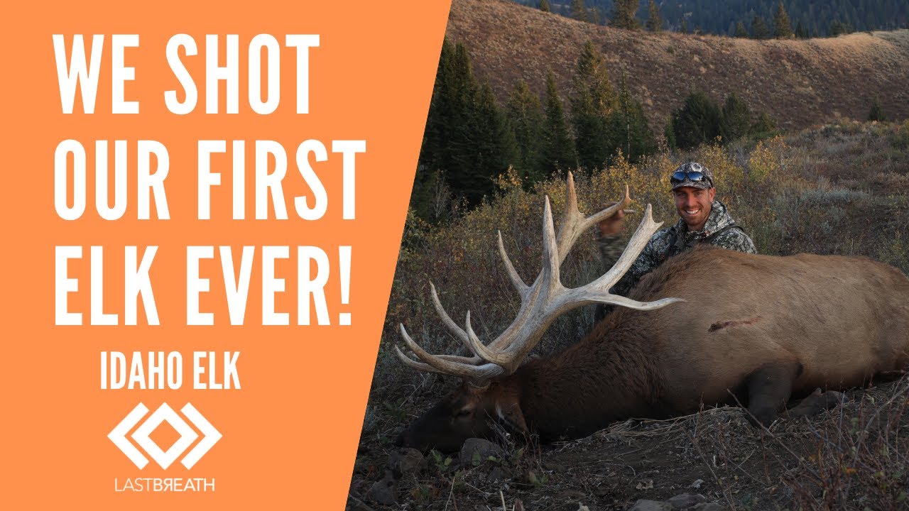 Opening Day of Deer Season and Garrett's First Bull Elk Ever! YouTube
