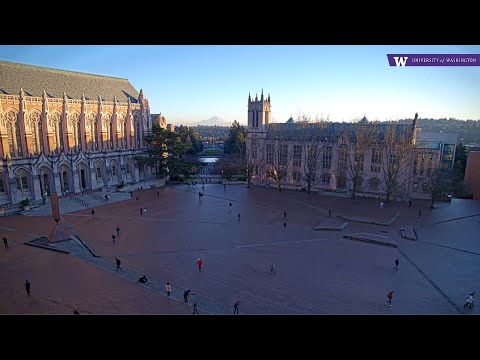 University of Washington Live Stream