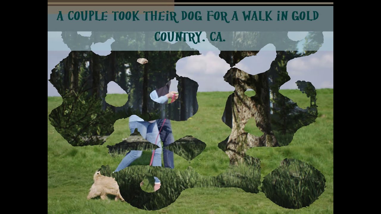 In Gold Country