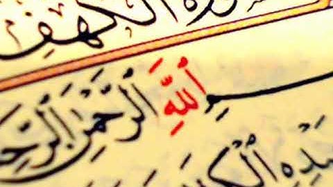 القارئ حسين اليافعي