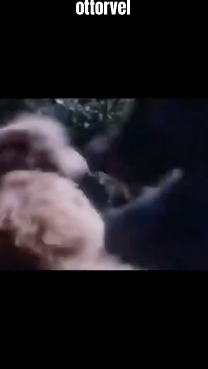 the story of the dog and wolf
