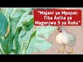 Magonjwa 5 Makuu Yanayotibiwa Na Majani Ya Mpapai Kwa Kuku