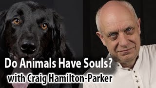 Do Animals Have Souls? - What happens when a pet dies?