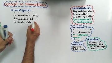Introduction Of Homeostasis| Class 12 Biology