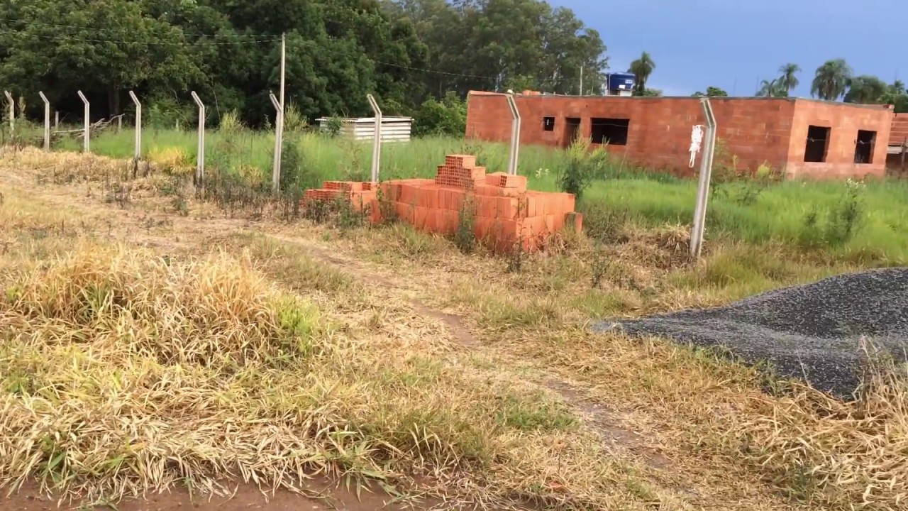 Qual É O Efeito Do Roundup?