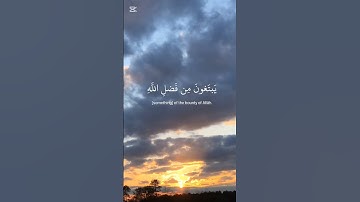 تلاوة خاشعة - عبدالرحمن مسعد #viralvideo #اكسبلور #المصحف #تلاوة_خاشعة