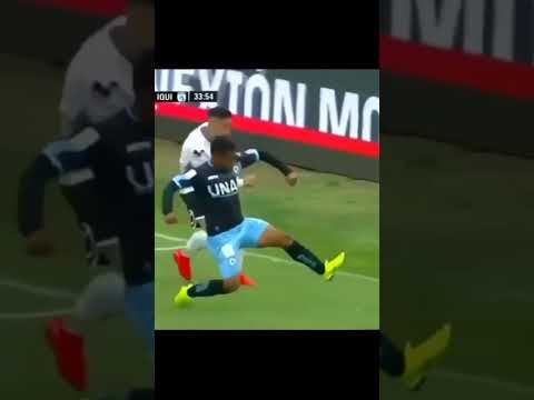 ای مو موردوم