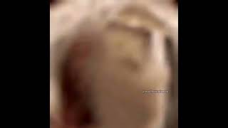 Gato dice Oh My God en directo (real)