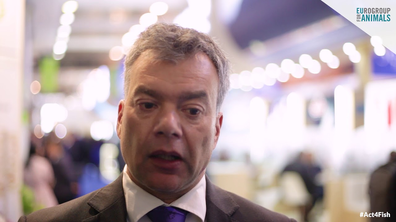 Seafood Expo Global and fish welfare: GlobalGAP